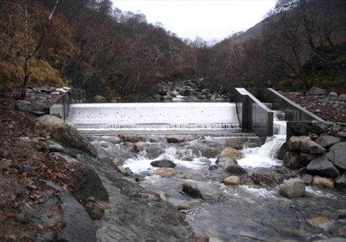 Coanda Intake Screens