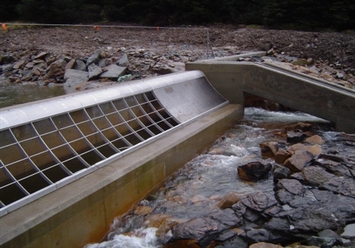 Coanda Intake Screens