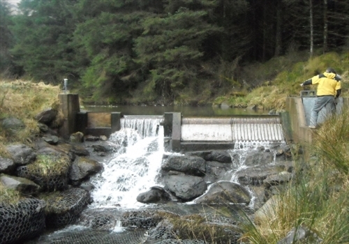 Coanda Intake Screens